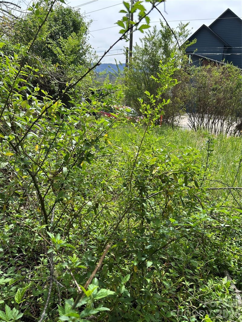 99999 Lamb Ave #1, Asheville, NC 28806