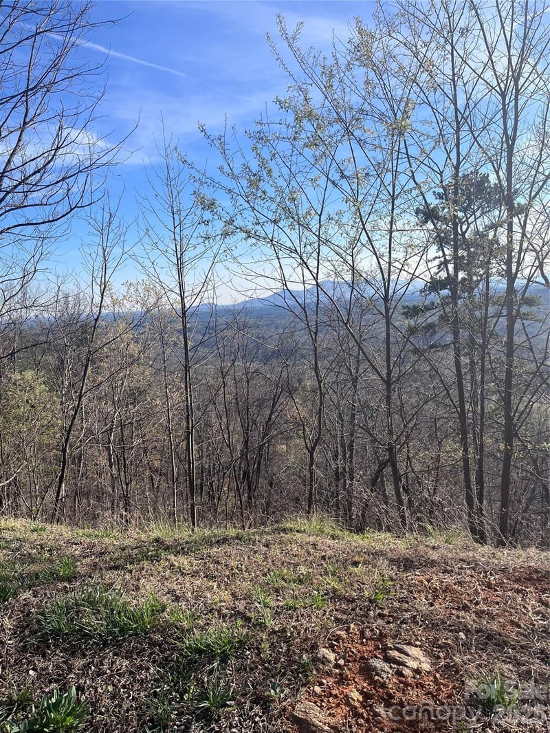 Golden Ridge Dr #131, Lake Lure, NC 28746