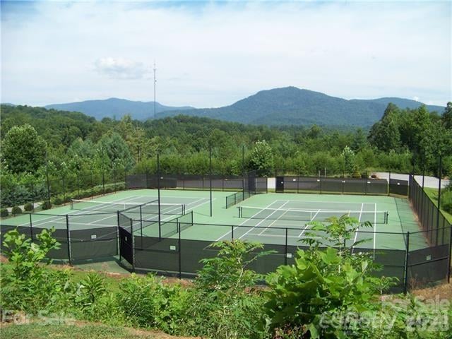 Bills Mountain Trl #401, Lake Lure, NC 28746