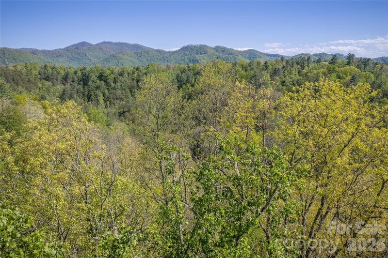 44 Marshbanks Rg, Weaverville, NC 28787
