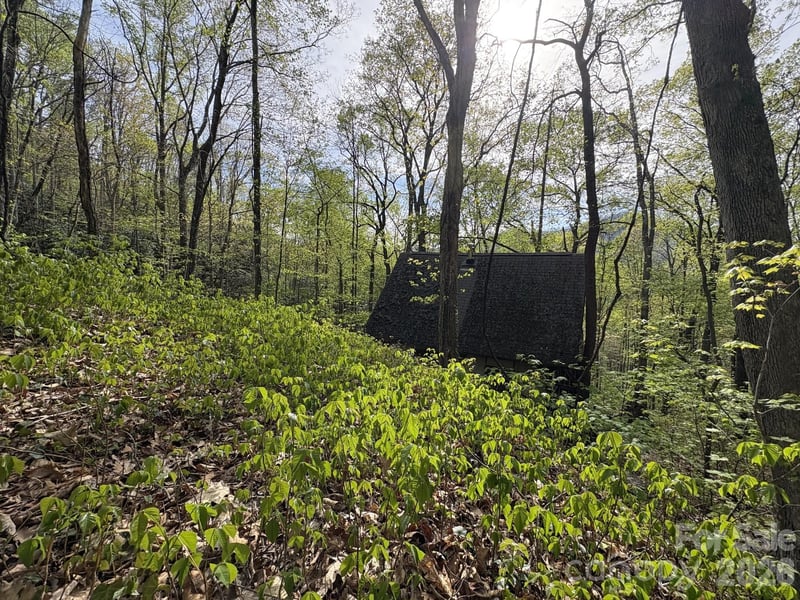 999999 Harwood Rd, Barnardsville, NC 28709