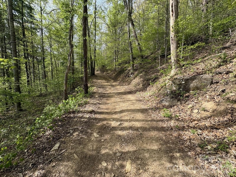 999999 Harwood Rd, Barnardsville, NC 28709
