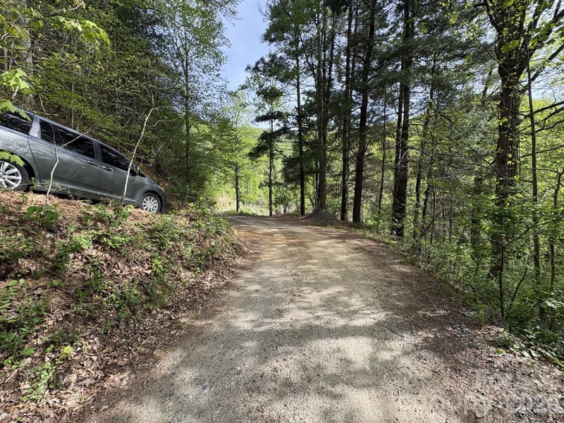 999999 Harwood Rd, Barnardsville, NC 28709