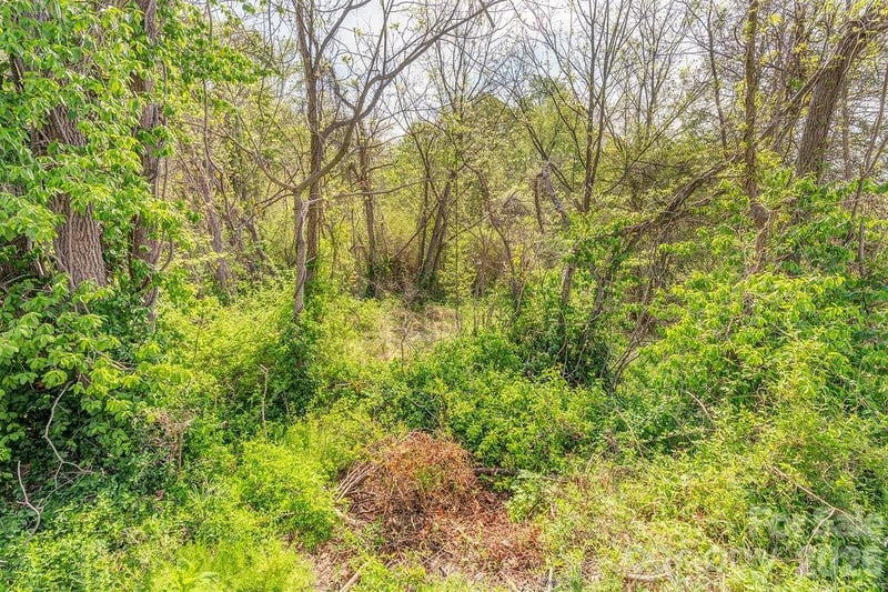 99999 Deavermont Cir, Asheville, NC 28806