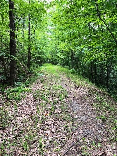 Lot 46 Lake Adger Pw, Mill Spring, NC 28756