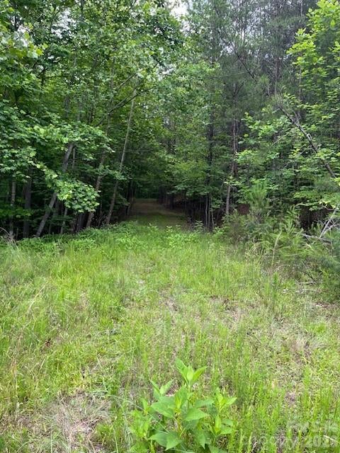 Lot 46 Lake Adger Pw, Mill Spring, NC 28756