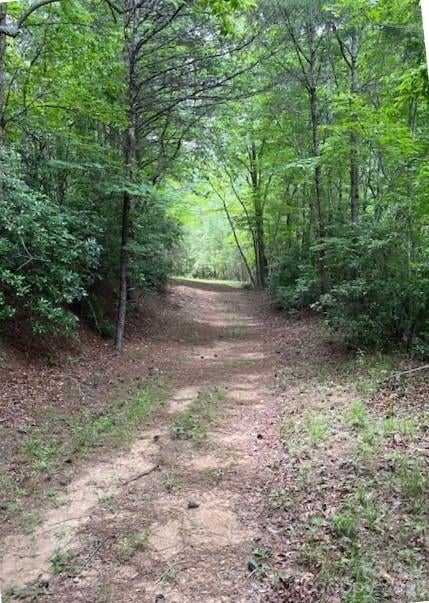 Lot 46 Lake Adger Pw, Mill Spring, NC 28756