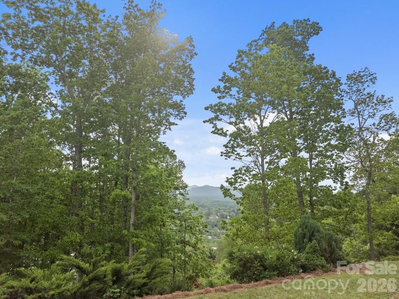 106 Mccauley Dr, Asheville, NC 28803
