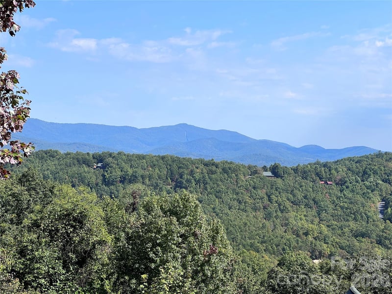 Old Forge Dr #94, Bostic, NC 28018