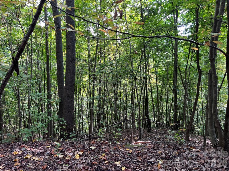 Old Forge Dr #94, Bostic, NC 28018