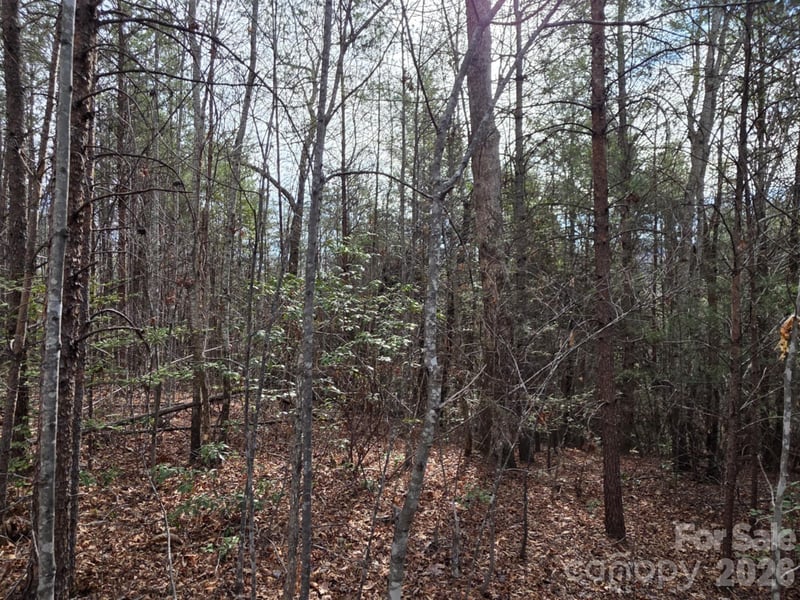 Lot 10 Kerlee Ln, Old Fort, NC 28762