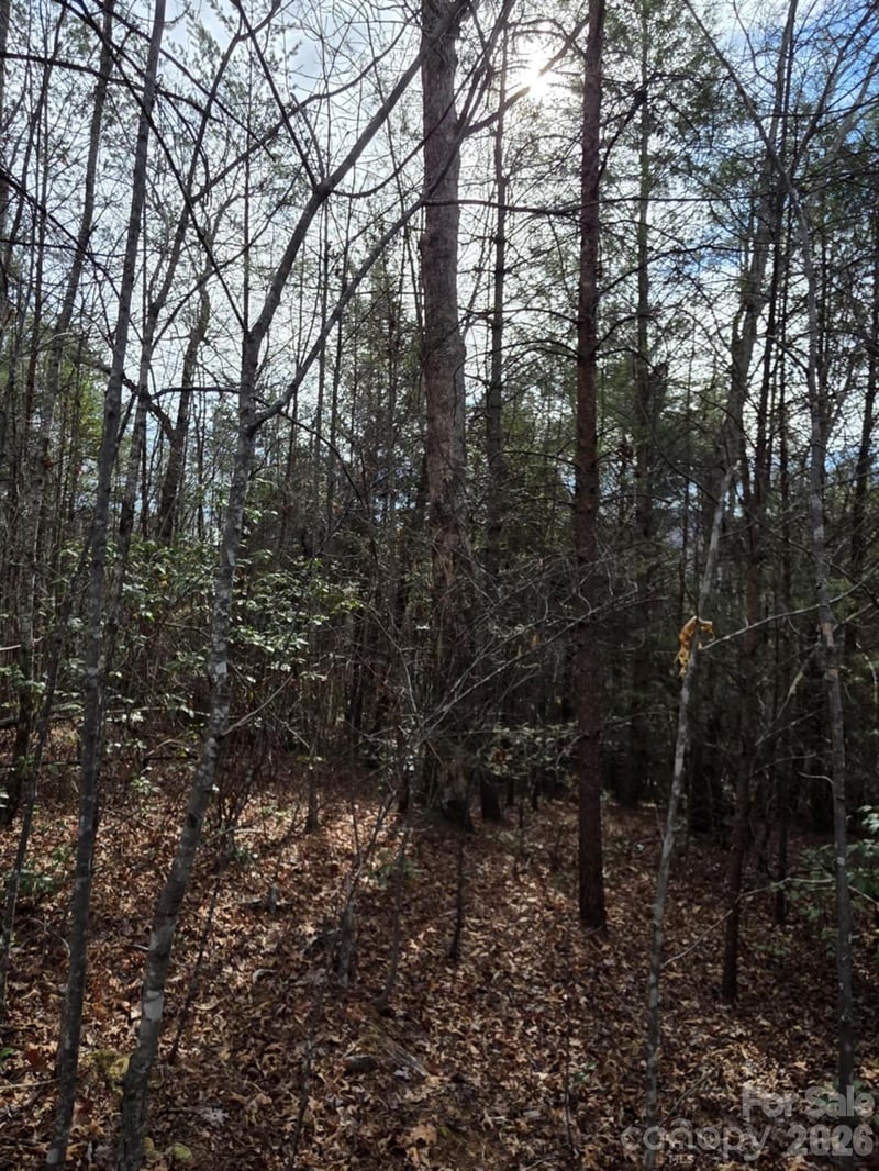 Lot 10 Kerlee Ln, Old Fort, NC 28762