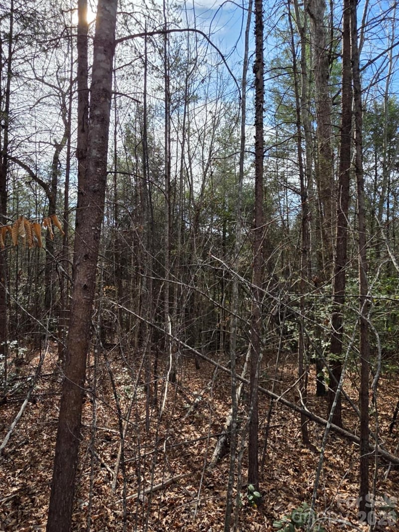 Lot 10 Kerlee Ln, Old Fort, NC 28762