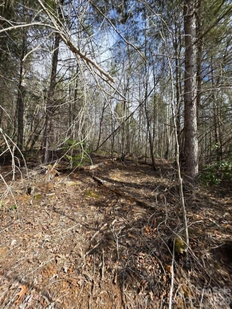 Lot 7 Kerlee Ln, Old Fort, NC 28762
