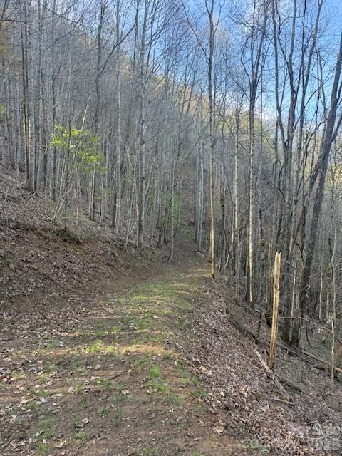 LT 70 Old Growth Way #70, Sylva, NC 28779