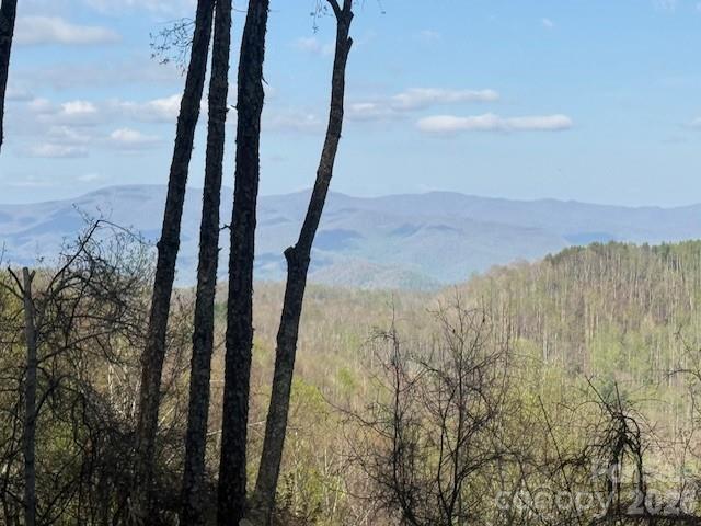 LT 70 Old Growth Way #70, Sylva, NC 28779
