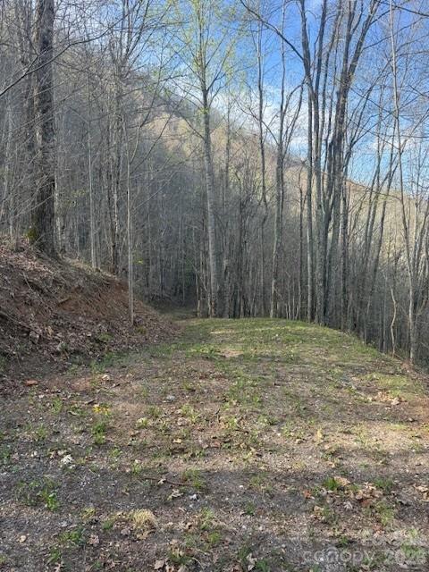 LT 70 Old Growth Way #70, Sylva, NC 28779