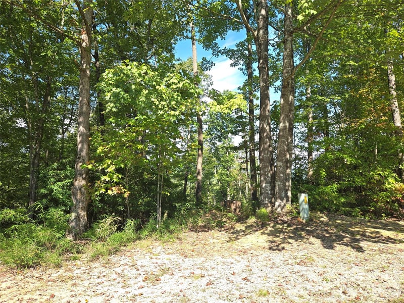 303 Ladd Rg, Rosman, NC 28772