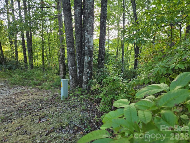 303 Ladd Rg, Rosman, NC 28772