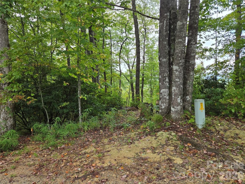 303 Ladd Rg, Rosman, NC 28772
