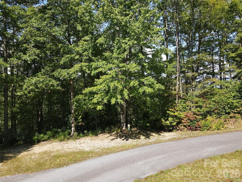 303 Ladd Rg, Rosman, NC 28772
