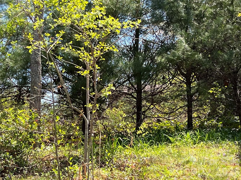 21 Ozark Spring Ln, Asheville, NC 28805