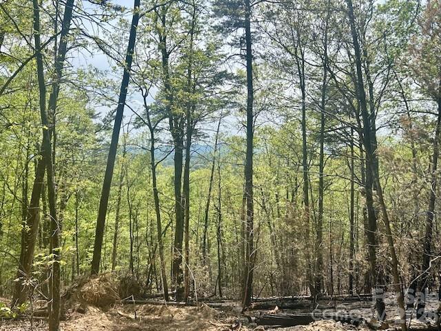 TBD Mountain View Cir, Lenoir, NC 28645