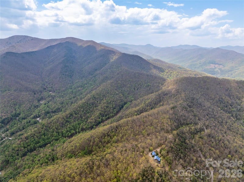 1299 Tiger Tail Ln, Canton, NC 28716