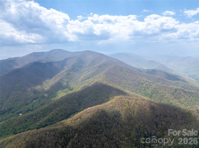 1299 Tiger Tail Ln, Canton, NC 28716