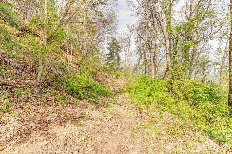 99999 Leisure Mountain Rd #22, Asheville, NC 28804