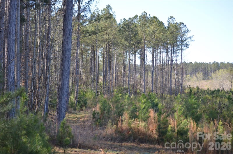 00 Peter Hawk Creek Rd #11, Jonesville, SC 29353