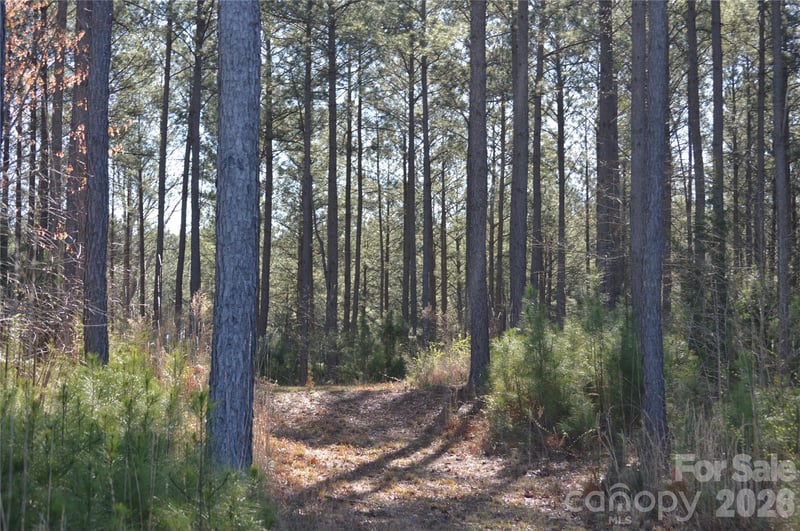 00 Peter Hawk Creek Rd #13, Jonesville, SC 29353