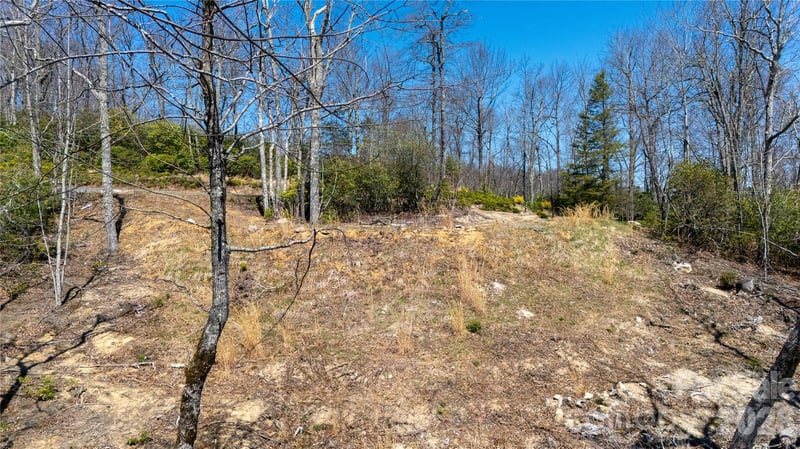 000 Walker Rg, Spruce Pine, NC 28777