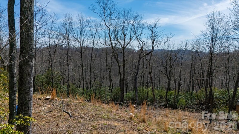 000 Walker Rg, Spruce Pine, NC 28777
