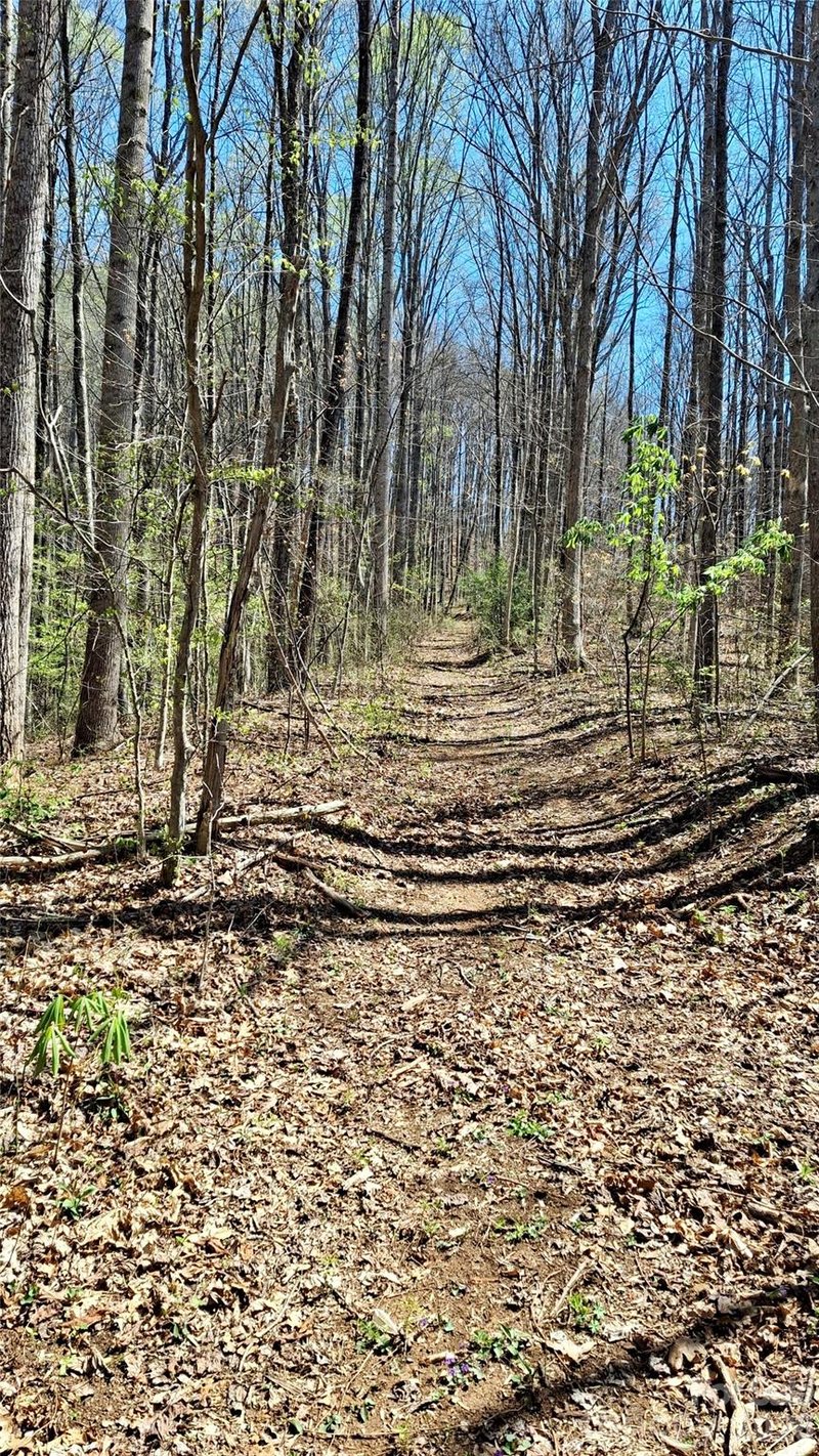 00 Maynor Dr, Sylva, NC 28779