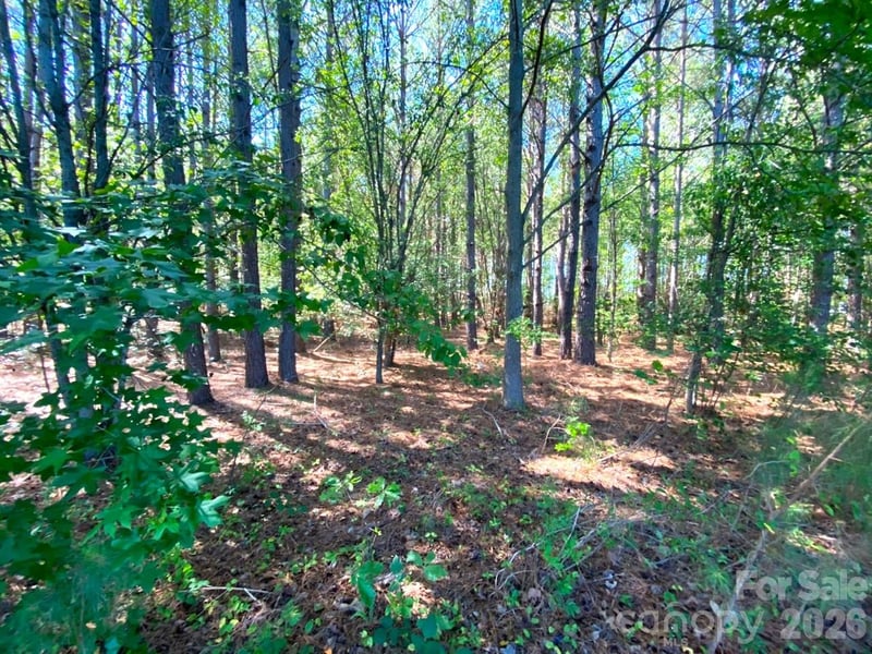 00-A - 00-B Baxter Rd 2 Lot s 3 ac each, Cherryville, NC 28021