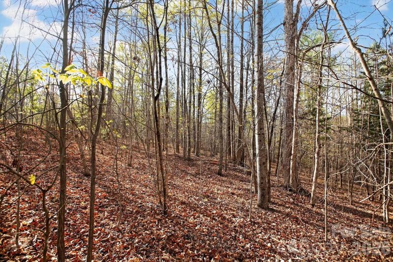 Lot 62 Dirksen Ave, Nebo, NC 28655