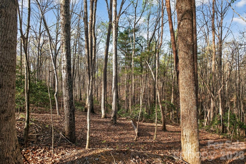 Lot 62 Dirksen Ave, Nebo, NC 28655