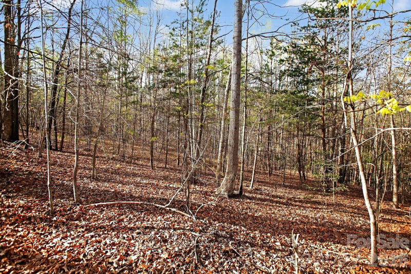 Lot 62 Dirksen Ave, Nebo, NC 28655