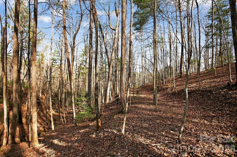 Lot 62 Dirksen Ave, Nebo, NC 28655