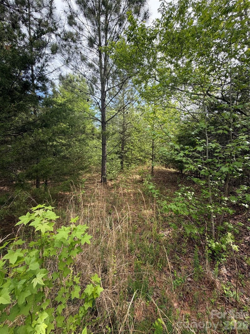 1309 Sage Pine Cir #37, Clover, SC 29710