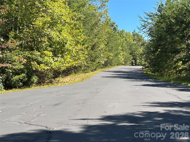 168 Robinwood Trl, Bostic, NC 28018