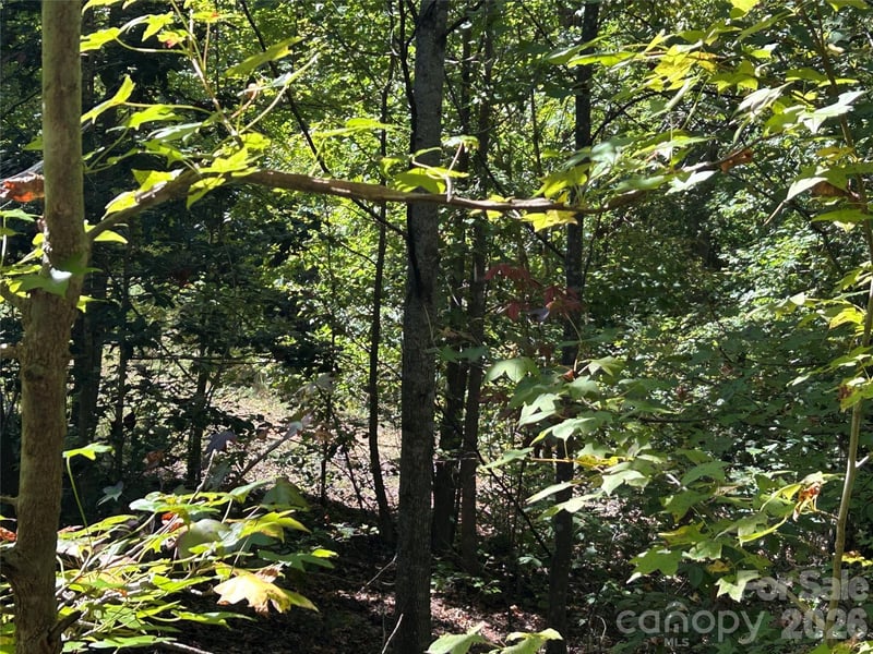 168 Robinwood Trl, Bostic, NC 28018