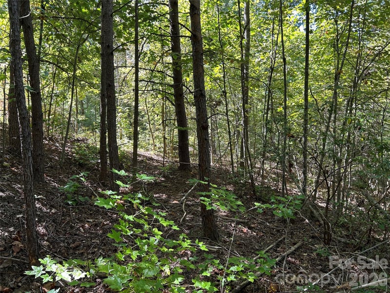 168 Robinwood Trl, Bostic, NC 28018