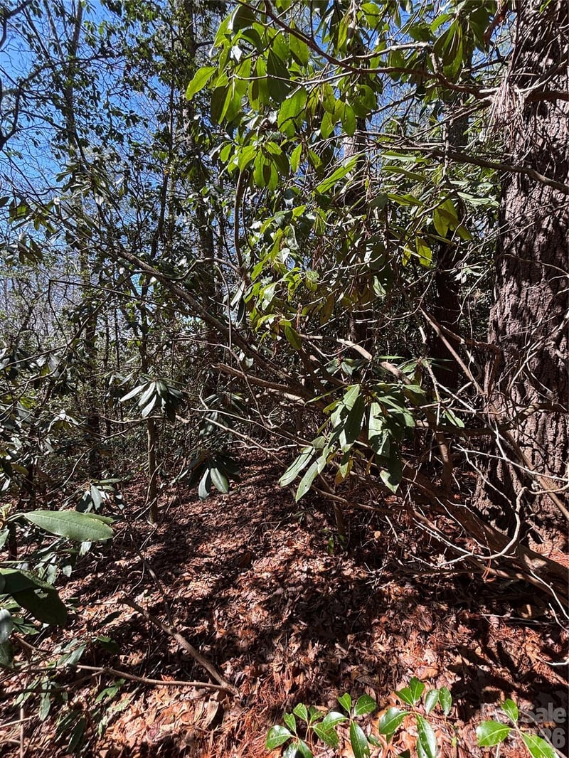 TBD Top Of The Mountain Rd, Penrose, NC 28766