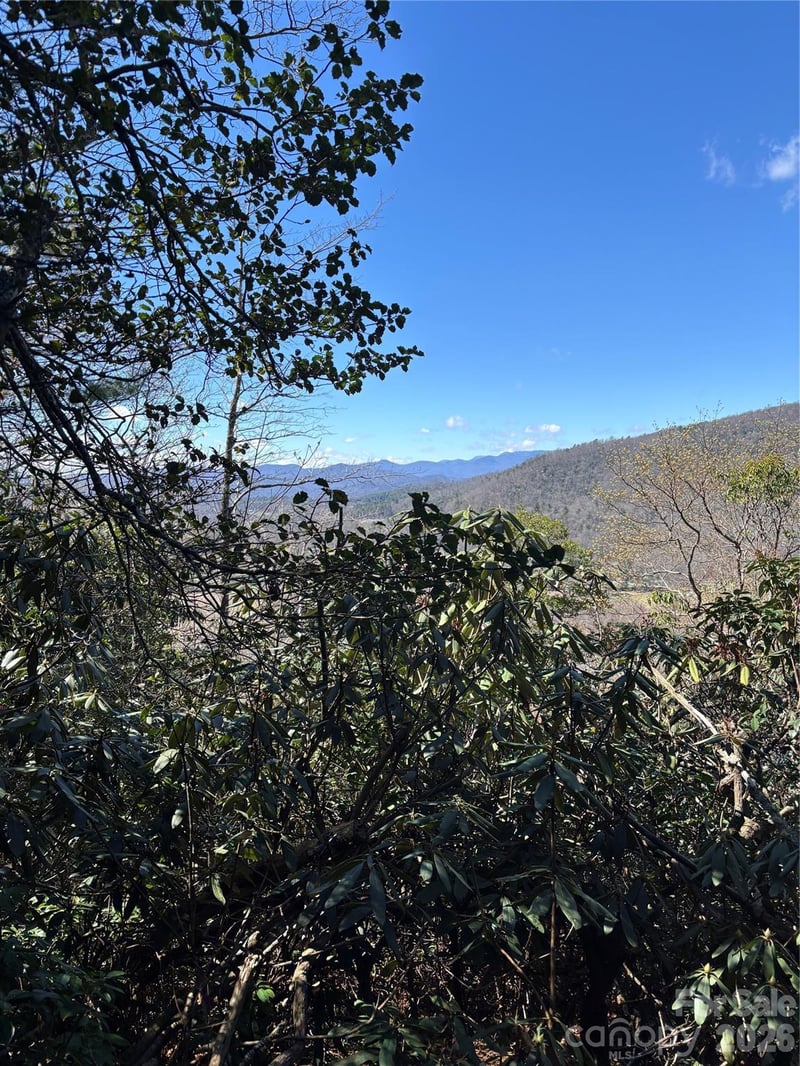 TBD Top Of The Mountain Rd, Penrose, NC 28766