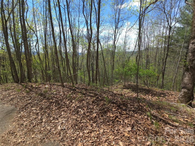 Winding Way Dr #32/33, Franklin, NC 28734