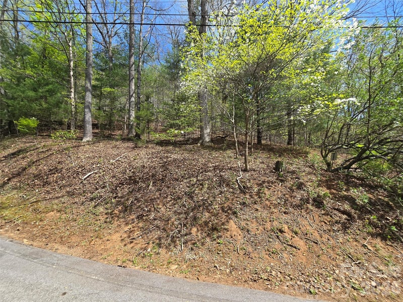 Winding Way Dr #32/33, Franklin, NC 28734