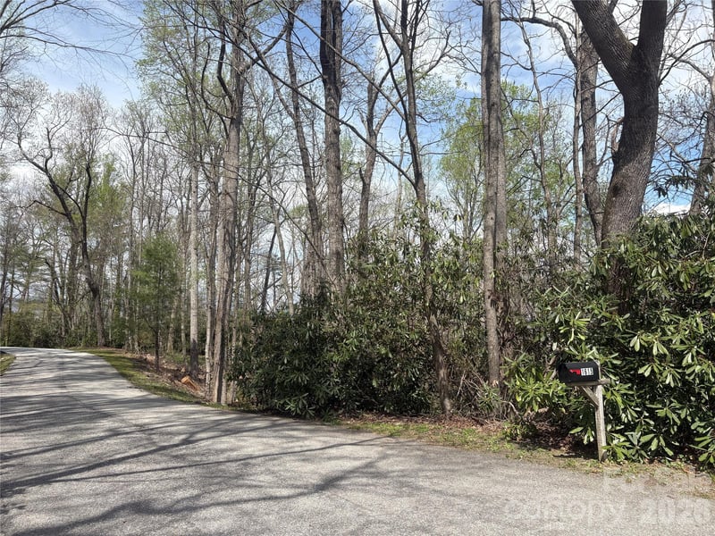 TBD Swiss Pine Lake Dr #117, Spruce Pine, NC 28777