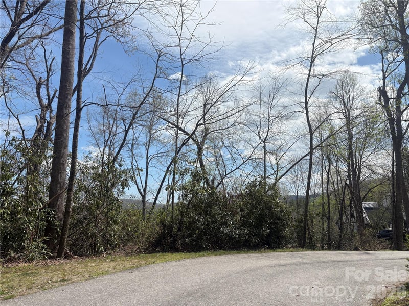 TBD Swiss Pine Lake Dr #117, Spruce Pine, NC 28777